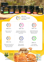 Load image into Gallery viewer, Manuka Honey MGO 500+|250G