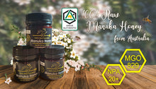 Load image into Gallery viewer, Manuka Honey MGO 829+|NPA 20+ 150G