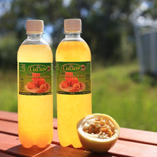 Load image into Gallery viewer, Passion Fruit Juice (500ml) (NOT for POST SHIPPING)

