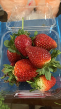 將圖片載入圖庫檢視器 STRAWBERRY *BULK 500g - CERTIFIED ORGANIC
