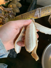 Load image into Gallery viewer, BANANA SUGAR BABY  *Marks on skin 1kg - ORGANIC (EDEN FARMERS)
