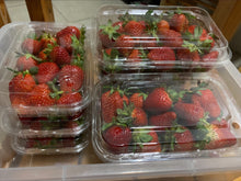 將圖片載入圖庫檢視器 STRAWBERRY *BULK 500g - CERTIFIED ORGANIC
