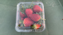 將圖片載入圖庫檢視器 STRAWBERRY *BULK 500g - CERTIFIED ORGANIC
