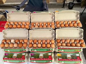 EGGS 800G Jumbo - PASTURE RAISED FREE RANGE (12 eggs)