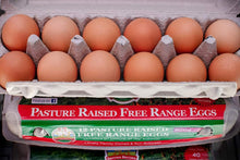 Load image into Gallery viewer, EGGS 700G Extra Large - PASTURE RAISED FREE RANGE (12 eggs)
