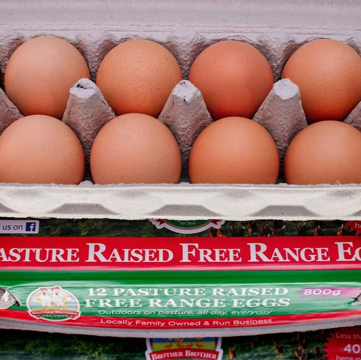EGGS 800G Jumbo - PASTURE RAISED FREE RANGE (12 eggs)