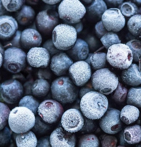 BLUEBERRY FROZEN QLD *125g - CERTIFIED ORGANIC (HAMPTON BLUE)