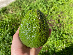 AVOCADO HASS - CERTIFIED ORGANIC