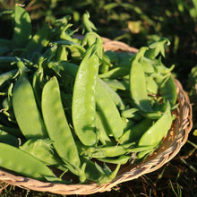 Load image into Gallery viewer, SNOW PEAS *200g - ORGANIC (EDEN FARMERS)
