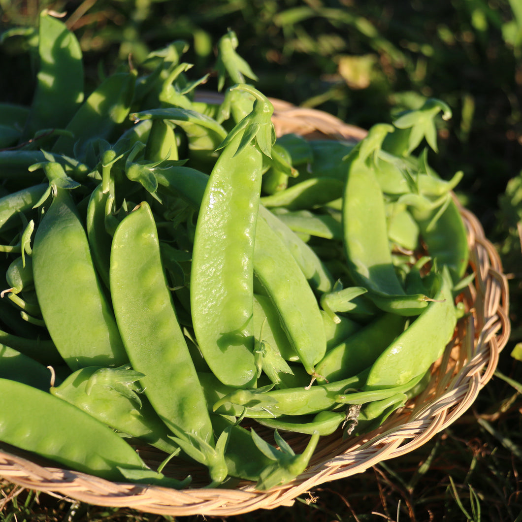 SNOW PEAS *200g - ORGANIC (EDEN FARMERS)