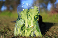 將圖片載入圖庫檢視器 ASIAN GREENS MIXED *bag - ORGANIC (EDEN FARMERS)
