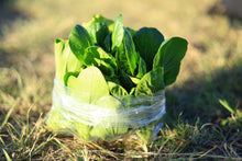 將圖片載入圖庫檢視器 ASIAN GREENS MIXED *bag - ORGANIC (EDEN FARMERS)
