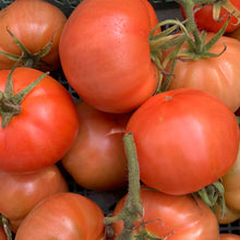 將圖片載入圖庫檢視器 TOMATO Yellow *300g - ORGANIC (EDEN FARMERS)
