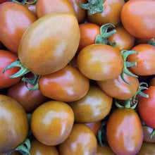 Load image into Gallery viewer, TOMATO CHERRY CHARMING bulk *500g - ORGANIC (EDEN FARMERS)
