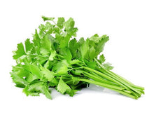 Load image into Gallery viewer, CELERY CHINESE *bunch - ORGANIC (EDEN FARMERS)
