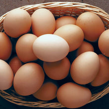 Load image into Gallery viewer, EGGS 800G Jumbo - PASTURE RAISED FREE RANGE (12 eggs)
