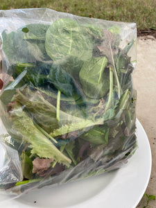 SALAD MIXED *bag - ORGANIC (EDEN FARMERS)