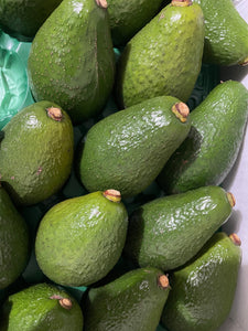 AVOCADO HASS - CERTIFIED ORGANIC