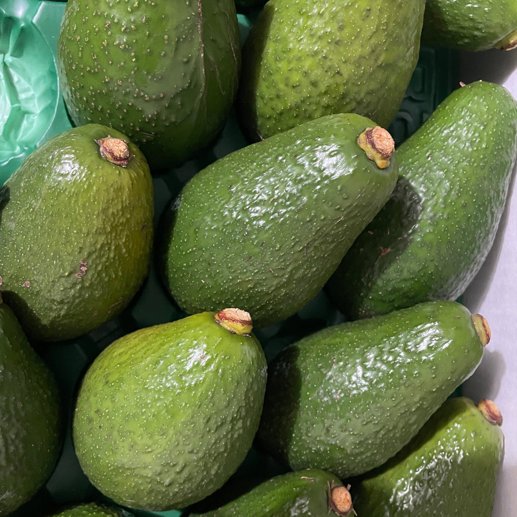 AVOCADO HASS 2ND *Each - CERTIFIED ORGANIC