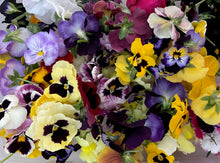 將圖片載入圖庫檢視器 FLOWERS DENTHUS *bunch - ORGANIC (EDEN FARMERS)
