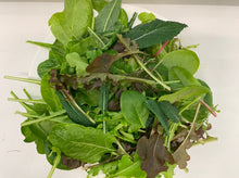 Load image into Gallery viewer, SALAD MIXED *120g - ORGANIC (EDEN FARMERS)
