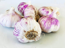 Load image into Gallery viewer, GARLIC AUSSIE PURPLE *Clove *100g - CERTIFIED ORGANIC (HAPPY FARMERS)
