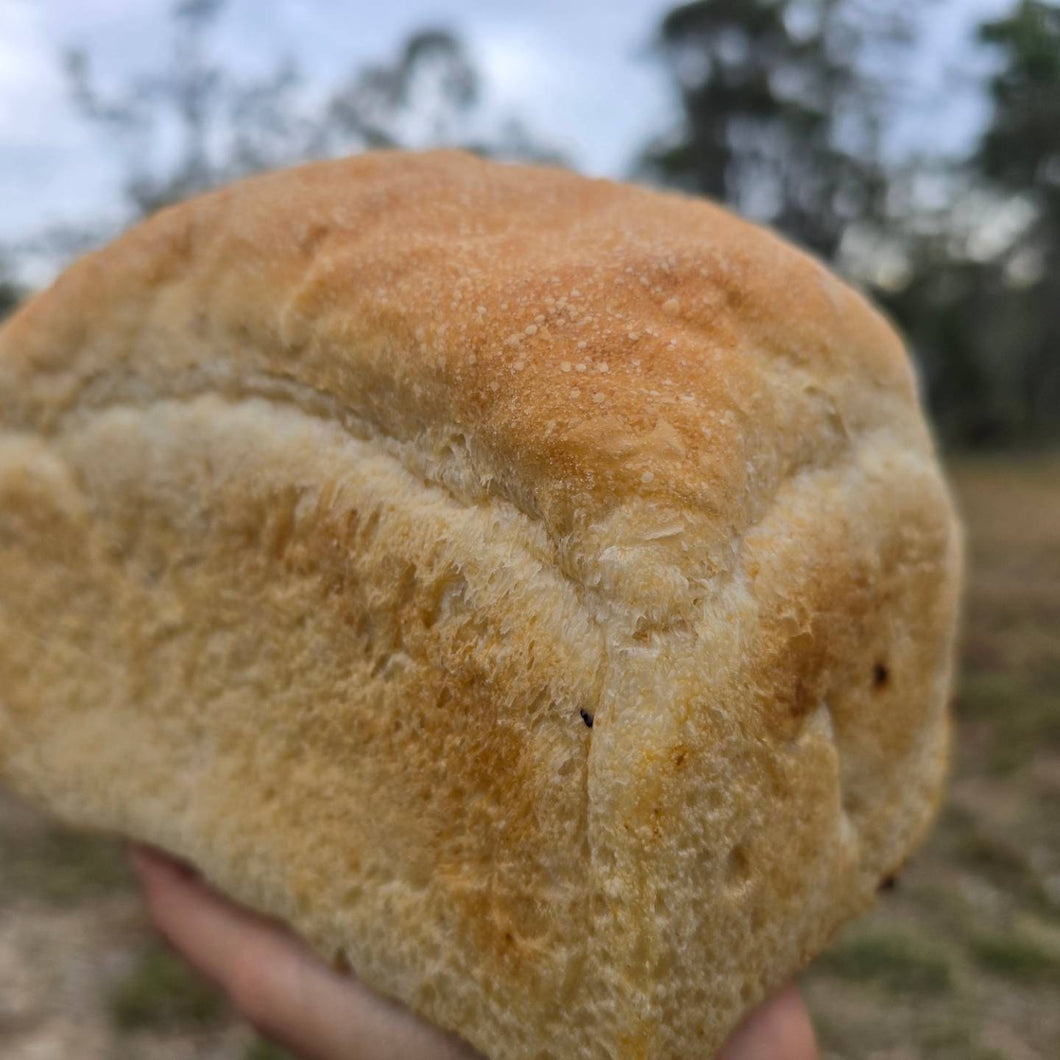 HOMEMADE SOURDOUGH SANDWICH BREAD *FROZEN UNCUT
