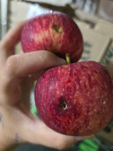 Load image into Gallery viewer, APPLE Mixed Juicing *2kg - CERTIFIED ORGANIC
