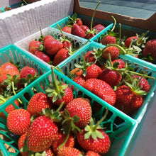 將圖片載入圖庫檢視器 STRAWBERRY *BULK 500g - CERTIFIED ORGANIC
