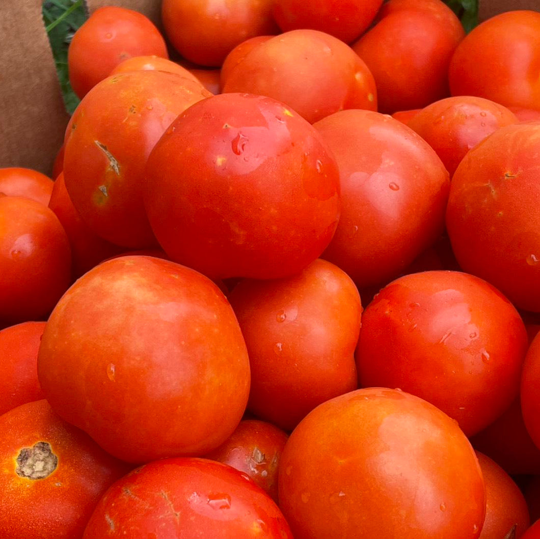 TOMATO Budget grade *1kg - CERTIFIED ORGANIC
