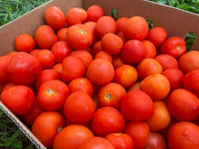 Load image into Gallery viewer, TOMATO Budget grade *1kg - CERTIFIED ORGANIC
