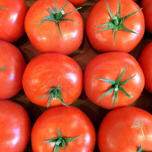 Load image into Gallery viewer, TOMATO GOURMET *500g - CERTIFIED ORGANIC
