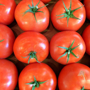 TOMATO GOURMET *500g - CERTIFIED ORGANIC
