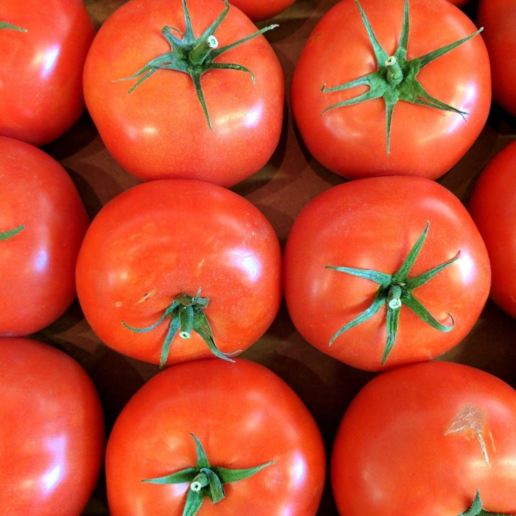 TOMATO GOURMET *500g - CERTIFIED ORGANIC