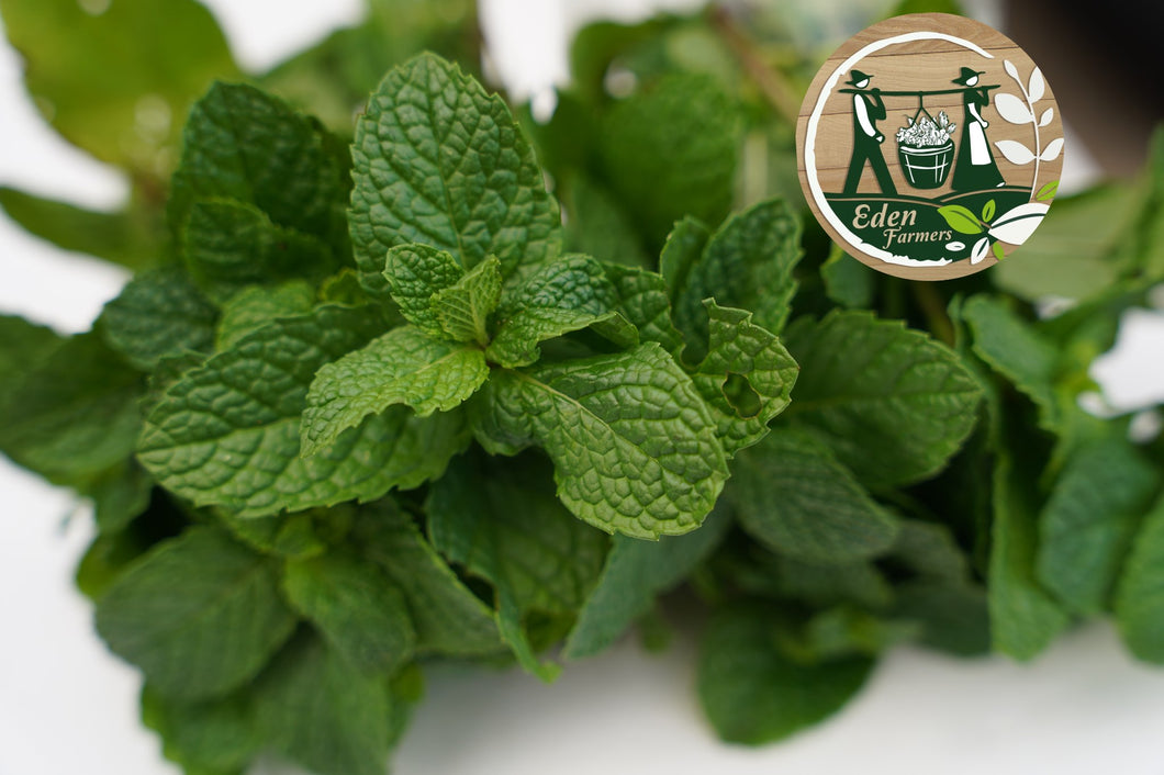 HERBS MINT - ORGANIC (EDEN FARMERS)