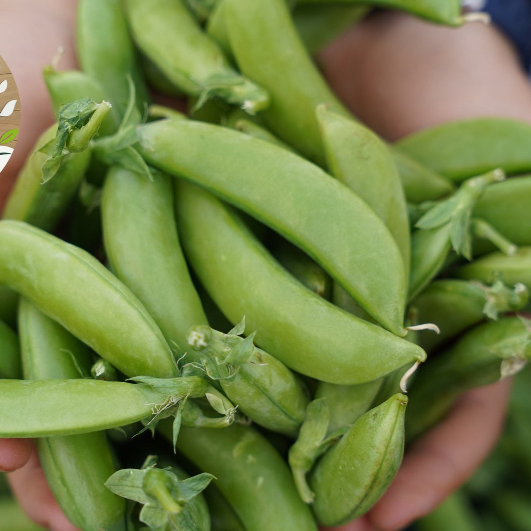 SUGAR SNAP PEAS *200g - ORGANIC(EDEN FARMERS)