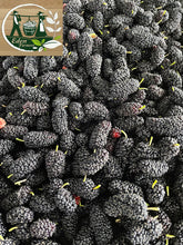 Load image into Gallery viewer, MULBERRIES *125g - ORGANIC (EDEN FARMERS)
