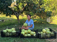 Load image into Gallery viewer, POMELO Pink/White *each - ORGANIC (EDEN FARMERS)
