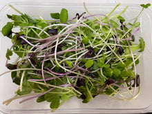 Load image into Gallery viewer, Microgreen MIXED *70g - ORGANIC (EDEN FARMERS)
