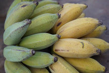 Load image into Gallery viewer, BANANA SUGAR BABY  *Marks on skin 1kg - ORGANIC (EDEN FARMERS)

