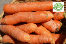 Load image into Gallery viewer, CARROT Juicing Red  *1kg - CERTIFIED ORGANIC
