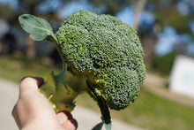 Load image into Gallery viewer, BROCCOLI FROZEN  *400g - CERTIFIED ORGANIC
