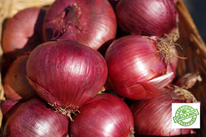 ONION Red QLD *500g - CERTIFIED ORGANIC