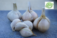 Load image into Gallery viewer, GARLIC RUSSIAN *200g - CERTIFIED ORGANIC (GYMPIE)

