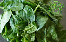 Load image into Gallery viewer, BABY SPINACH *150g - CERTIFIED ORGANIC
