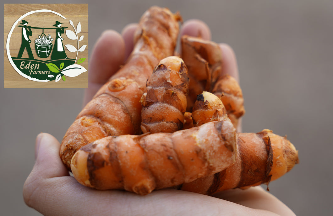 TURMERIC *DeepOrange - ORGANIC (EDEN FARMERS)