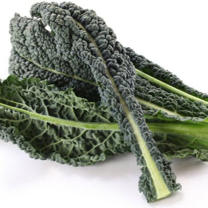 KALE NERO *bunch - ORGANIC (EDEN FARMERS)