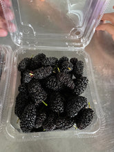 Load image into Gallery viewer, MULBERRIES *125g - ORGANIC (EDEN FARMERS)
