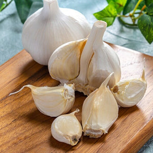 GARLIC RUSSIAN *200g - CERTIFIED ORGANIC (GYMPIE)