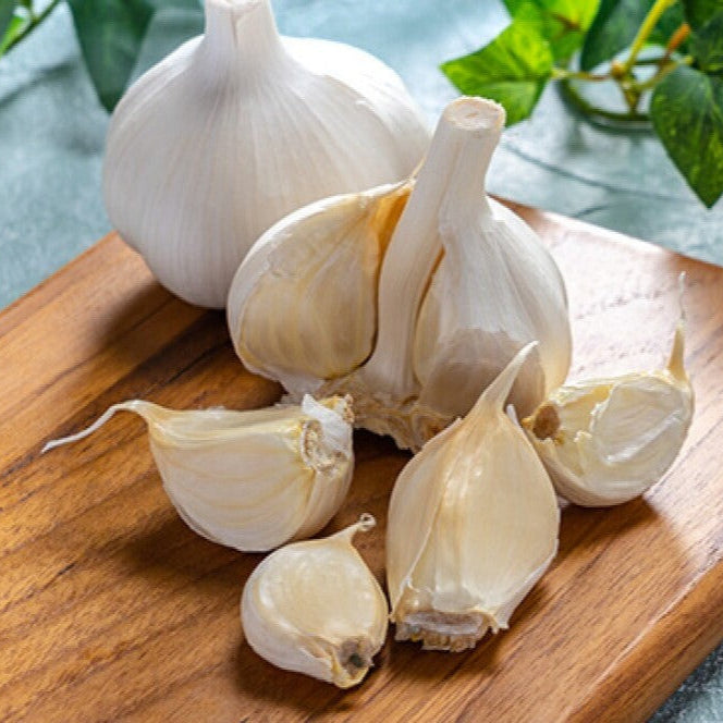GARLIC RUSSIAN *200g - CERTIFIED ORGANIC (GYMPIE)